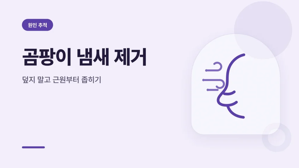 곰팡이 냄새 제거 정보 카드