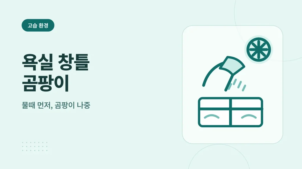 욕실 창틀 곰팡이 정보 카드