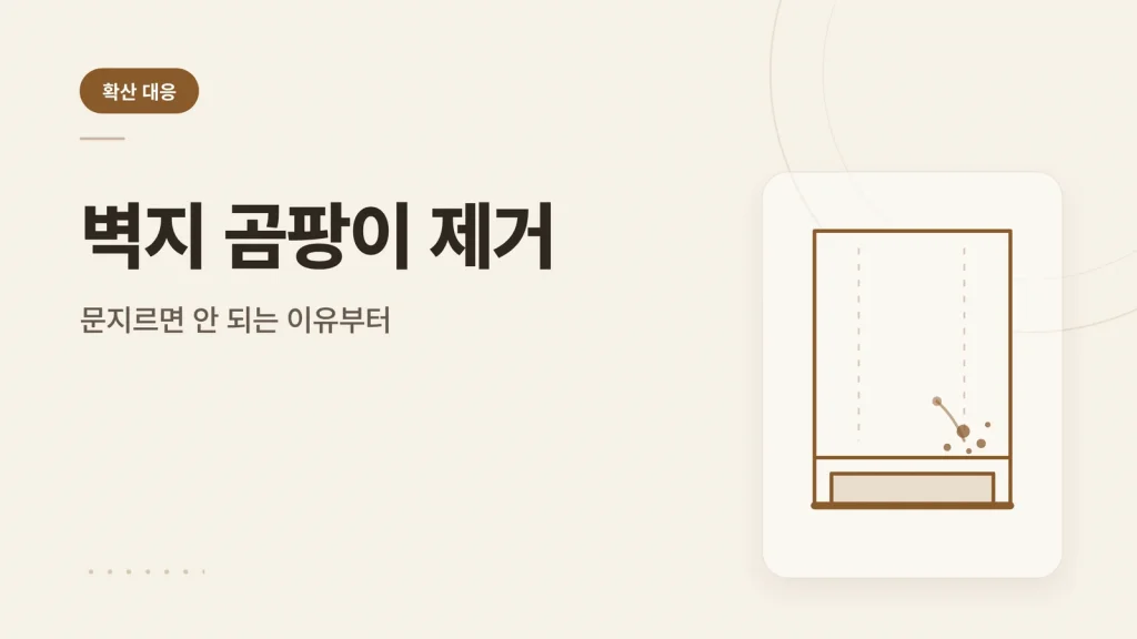 벽지 곰팡이 제거 정보 카드